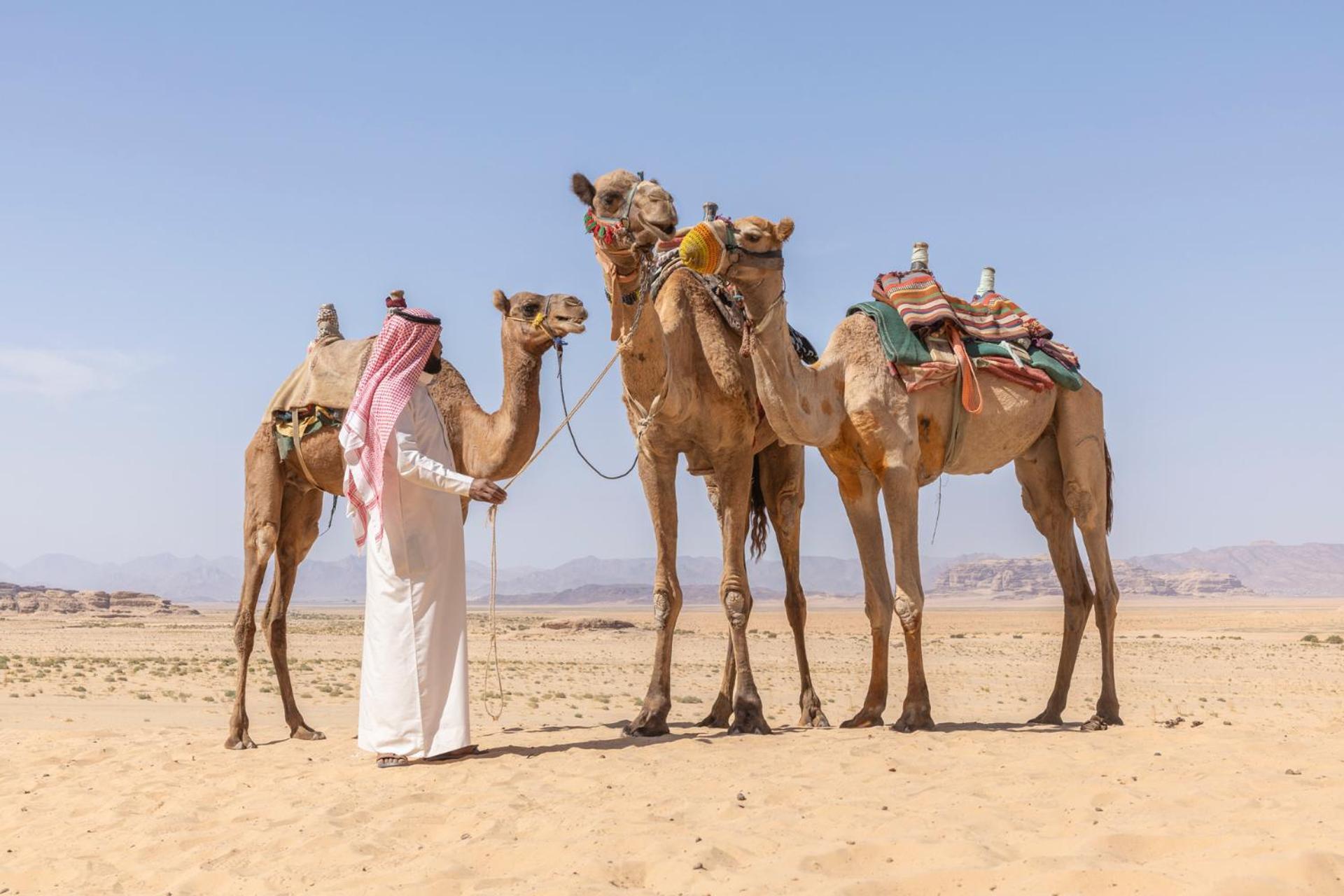 Wadi Rum Camp & Jeep Tour Ngoại thất bức ảnh